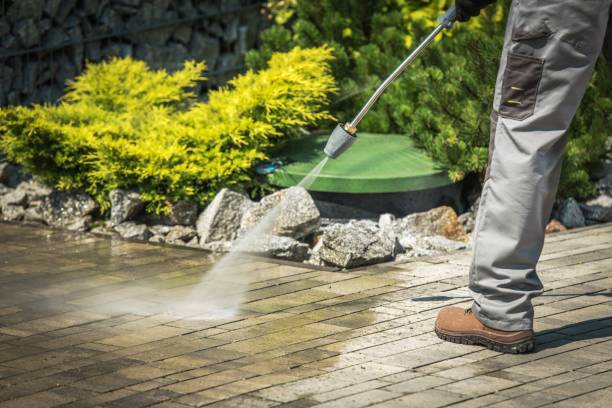 Animal Enclosure Cleaning in Sargent, TX